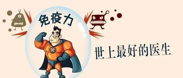 小小桑黄的神奇功效，太惊人！一类人一定要吃！(图17)