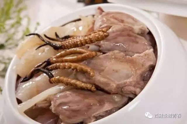 冬虫夏草是什么味道？好吃吗？ (图5)