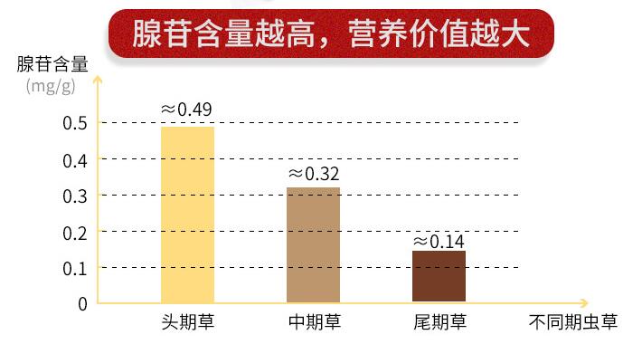 冬虫夏草营养划分