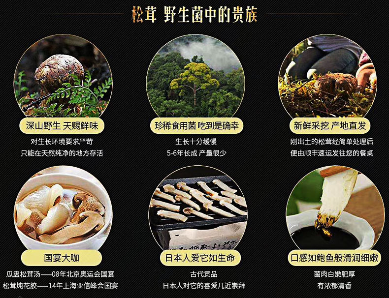 一种如精灵般的食物-松茸(图2)