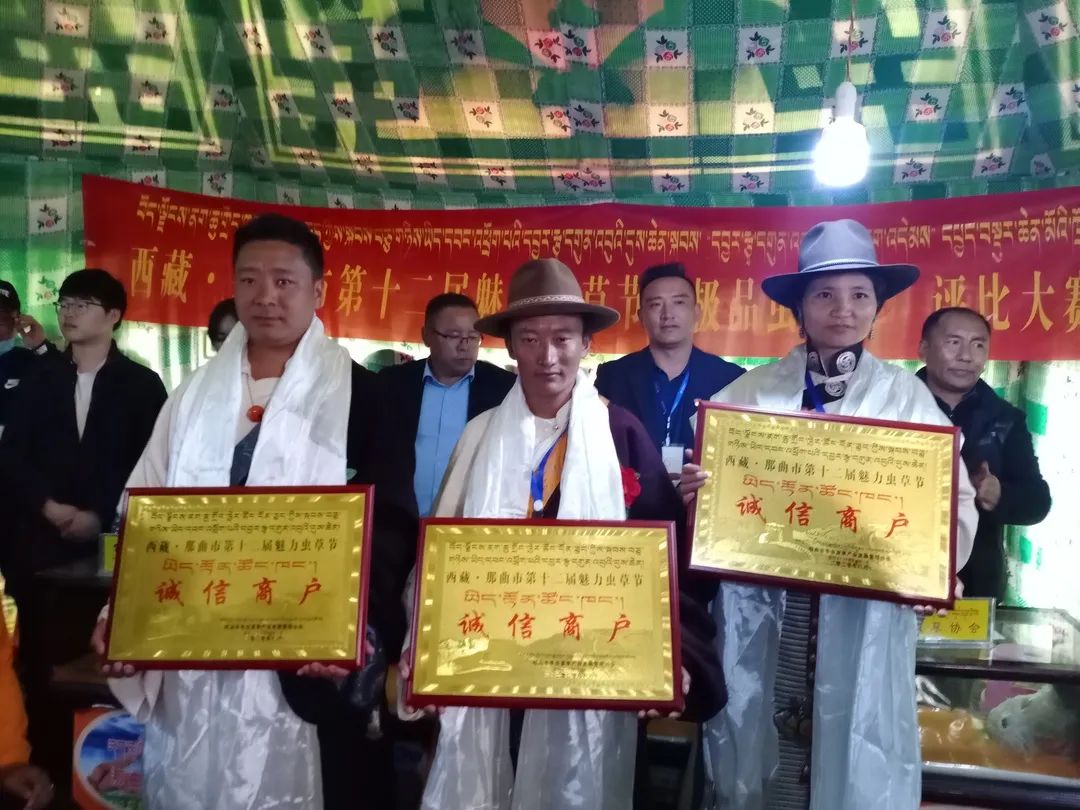 དབྱར་རྩྭ་དགུན་འབུའི་དུས་ཆེན་མཇུག་སྒྲིལ་བ།全世界品质最好的冬虫夏草在这里(图10)