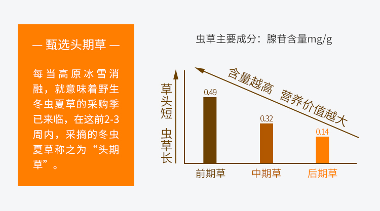 礼品级盒装100克 中号品质 那曲冬虫夏草(图5)