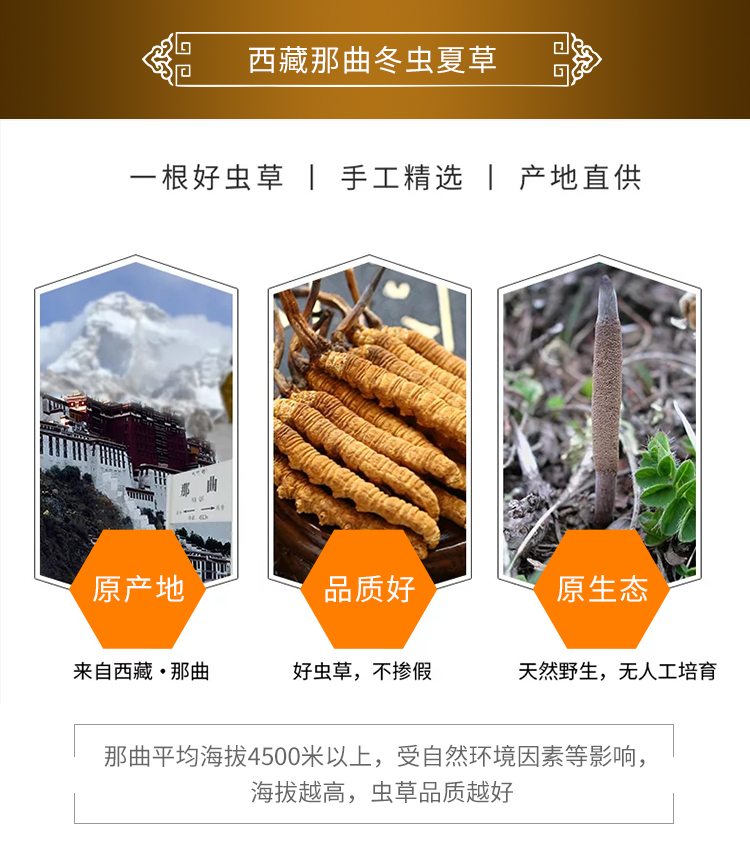 散装小号虫草 自己食用首选 5克起卖 那曲冬虫夏草(图4)